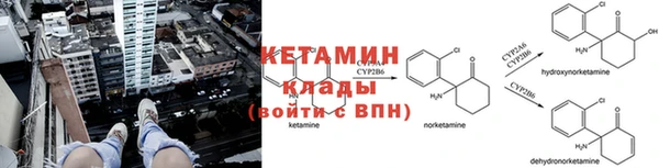 спиды Абаза