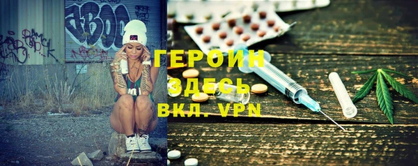 индика Алексин