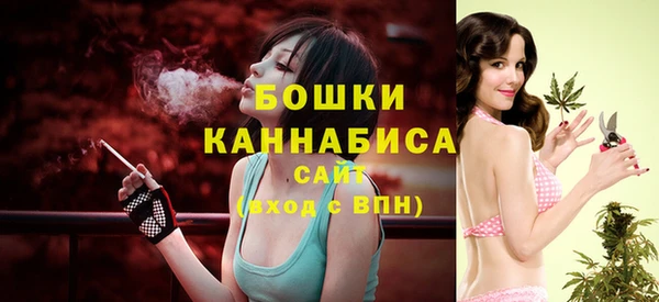 2c-b Абдулино