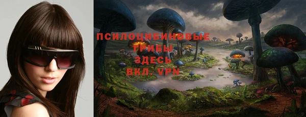 спиды Абаза