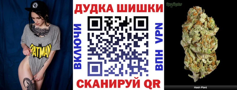 как найти закладки  Новопавловск  Бошки Шишки OG Kush 